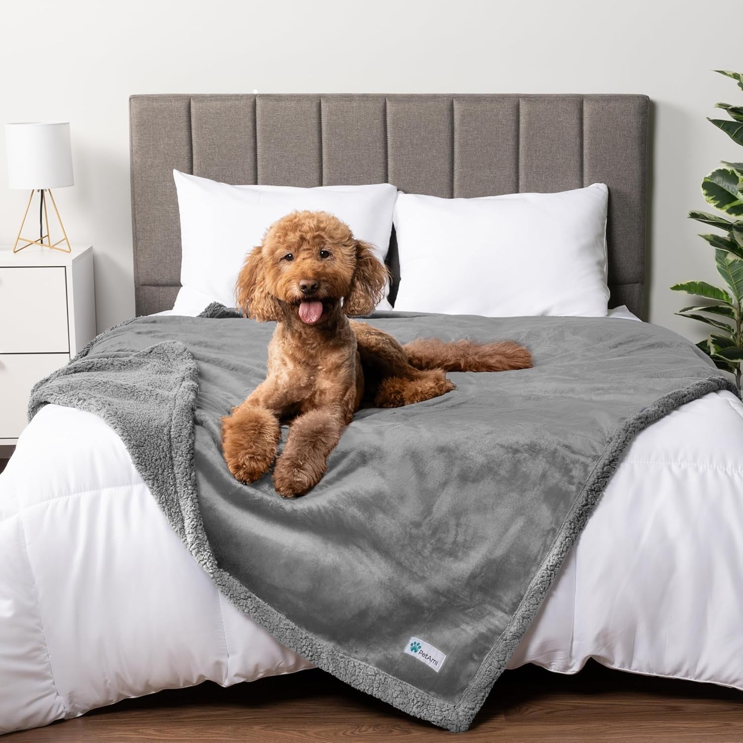 Waterproof Dog Blanket for Couch, Queen 90X90, Pee Proof Sherpa Fleece Reversible Pet Throw, Furniture Protector for Bed Sofa, Soft Washable Cover for Large Dogs Cats, Light Grey