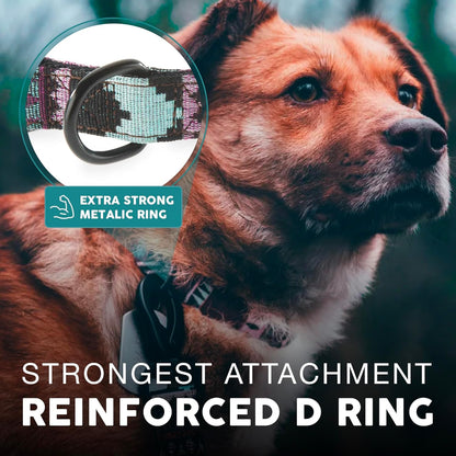 Embark Adventure Small Dog Collar – Stylish, Durable Nylon, Adjustable & Comfortable, Strong Buckle, Unisex