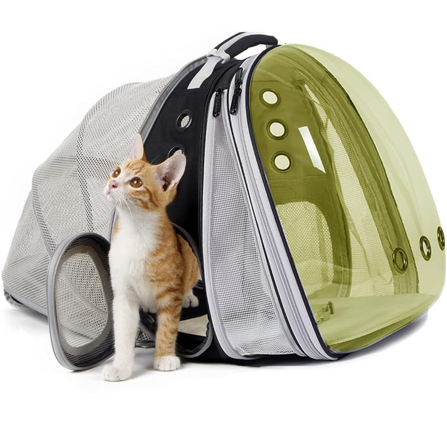 Expandable Cat Backpack Carrier – Up to 20 lbs