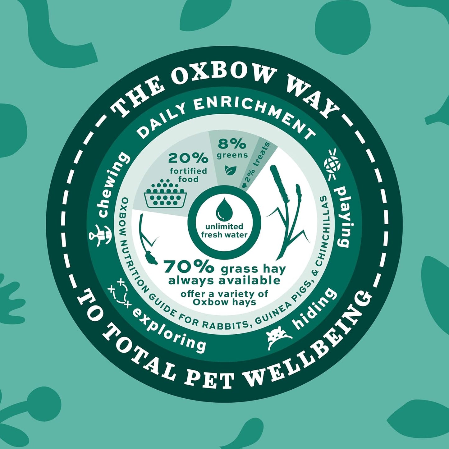 Western Timothy Hay, Guinea Pig Hay, Small Pet Bunny Supplies, All Natural Grass for Guinea Pig, Bunny, Chinchilla & Hamster,  Rabbit Supplies for Bunnies, 90 Oz. Bag